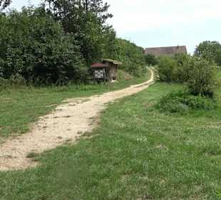 Wanderrunde Emeringen zum Rechtenstein