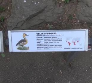 Vogelfreifluggelände