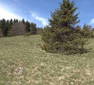 Naturreservat Beutenlay