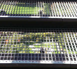 Besser schwindelfrei