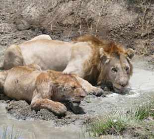 Tansania Ende September