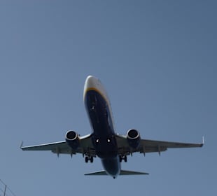 Landeanflug in 50 Meter Höhe