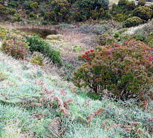 Inselrundfahrt Terceira