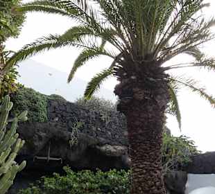 Fundacion Cesar Manrique