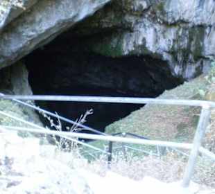 Eingang