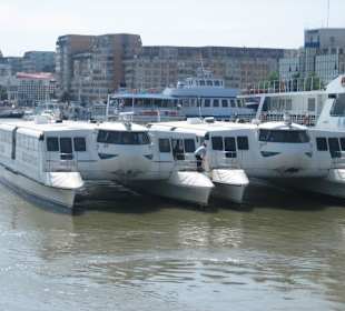 Ausflugsboote ins Delta