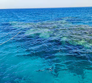 Schnorcheln Makadi Bay