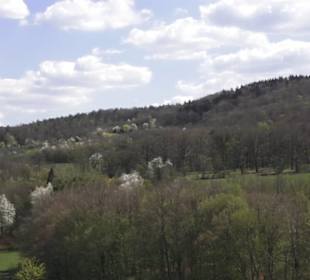 Sport- und Freizeitpark Markwasen