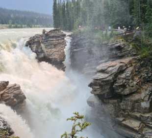 Athabasca Fälle
