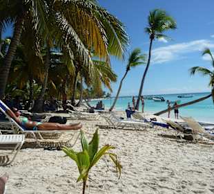 Isla Saona- Paradiesisch