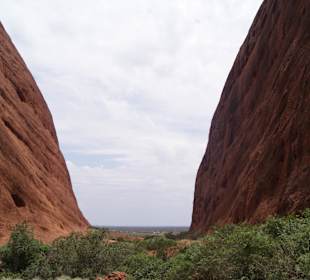 Blick aus dem "Walpa Gorge Walk"