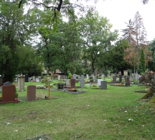 Fangelsbach Friedhof