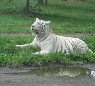 Ausflug im Serengeti-Park