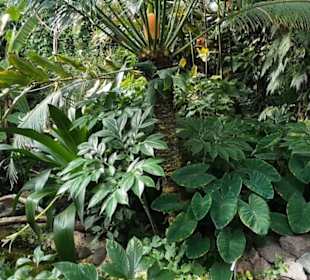 Botanischer Garten