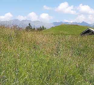 Wandern in Serfaus-Fiss-Ladis 