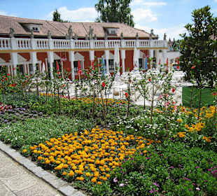Park