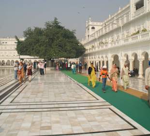 Nordseite mit heiligem Jubi Tree 