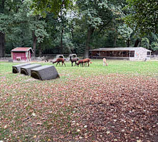 Steinerbos Belevenispark