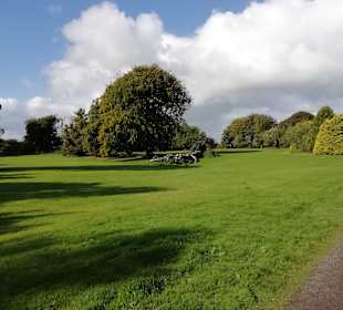 Landschaft bei "The Dark Hedges"