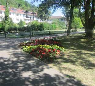 Kurpark Bad Bergzabern