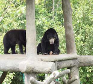 Wildlife Rescue Center