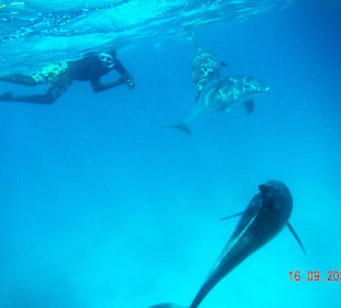 Sie wirken so elegant