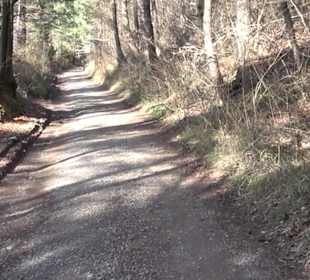 Hirschauer Spitzbergwegle (Premiumspazierwanderweg