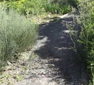 Botanischer Garten