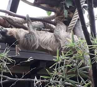 Weltvogelpark Walsrode