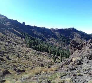 Teide Nationalpark in Las Canadas del Teide
