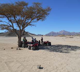 Quad fahren in der Wüste