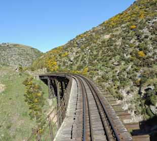 Mitder Taileri Railway durch die Natur Neuseelands