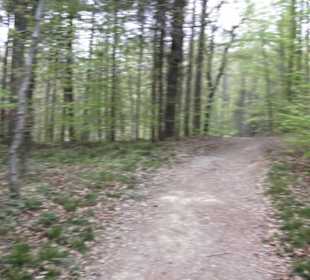 Wanderweg Firstwaldrunde