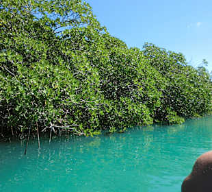 Sian Ka'an Nationalpark
