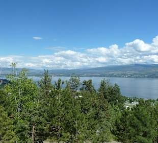 Aussicht von der Mission Hill Winery