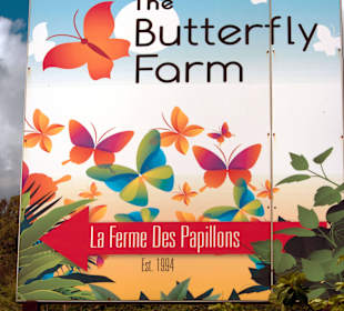 Hinweisschild zur Butterfly Farm