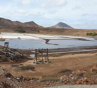 Salinas Pedro de Luma