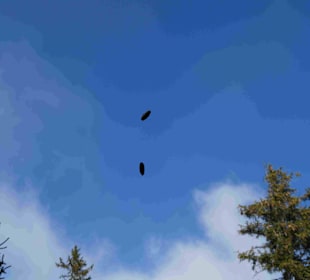 Riesengebirge/Karkonosze