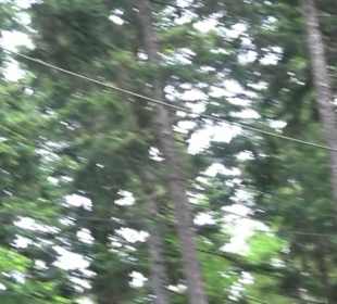 Hochseilgarten Hallwangen