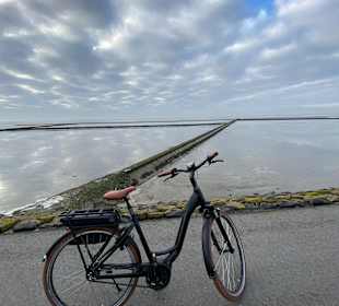 Fahrradtour Eckwarderhörne - Nordenham
