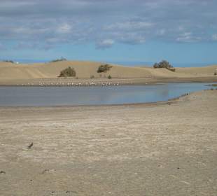 Düne von Maspalomas