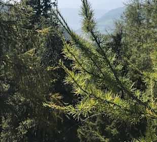 Wandern Bad Kleinkirchheim