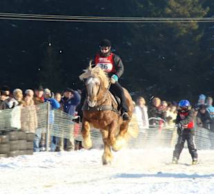 Oberharzer Skikjöring in Elend