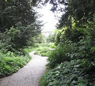 Alter botanischer Garten