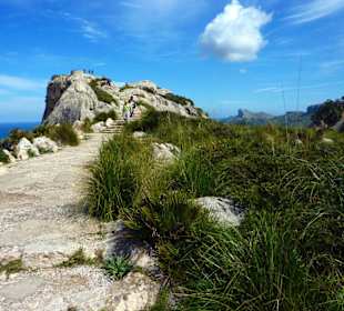 Der Klassiker aller Mallorcareisen