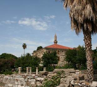 Innerstädische Ausgrabungen