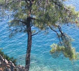 Blaue Reise