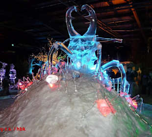 Karls Eiszeit 2011 - Im Wald da sind die Räuber