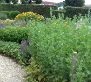 ALB-GOLD Naturgarten