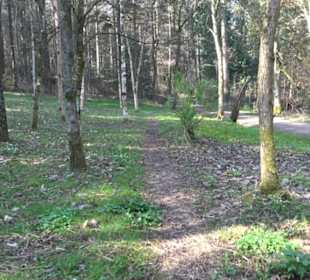 Wanderung Florianrunde